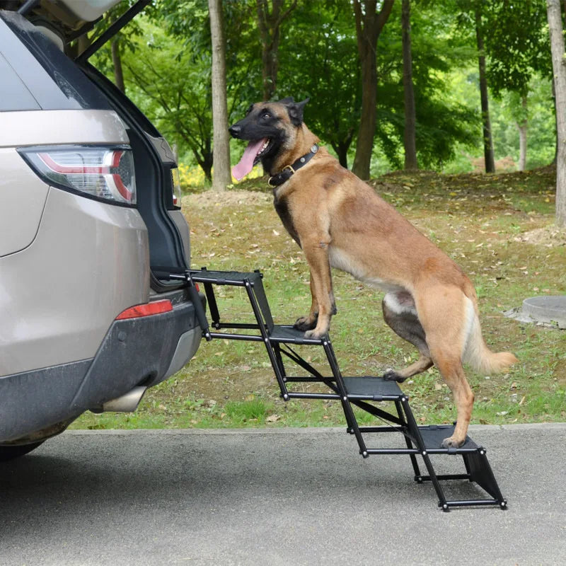 perro subiendo al coche