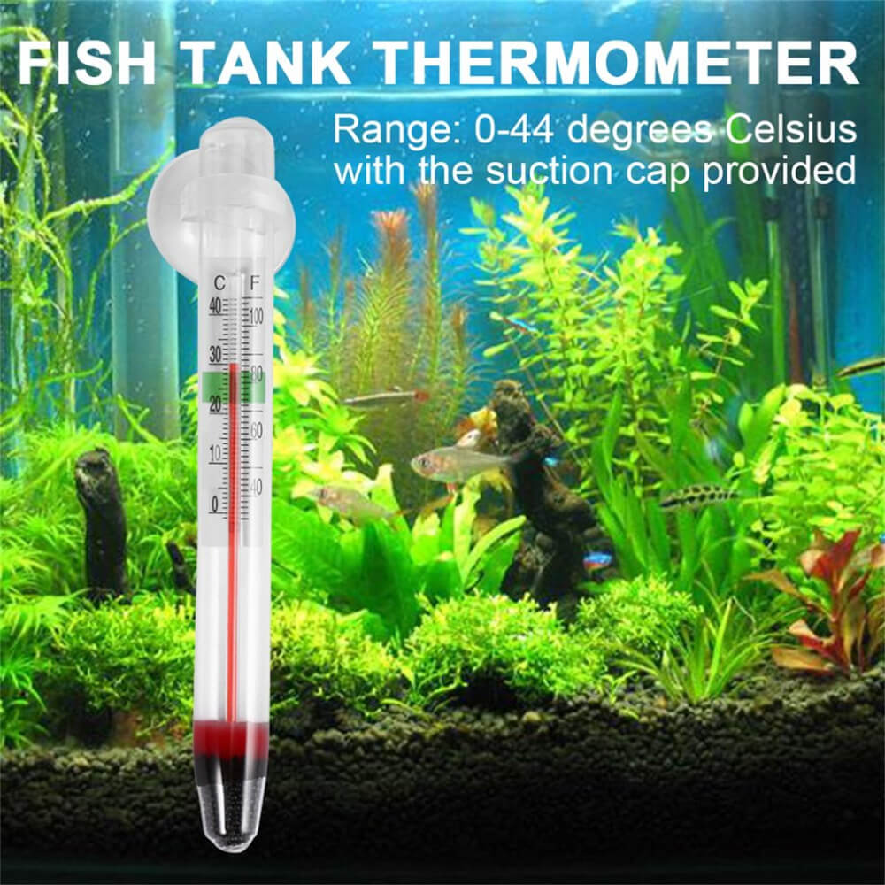 detalle termómetro para acuario